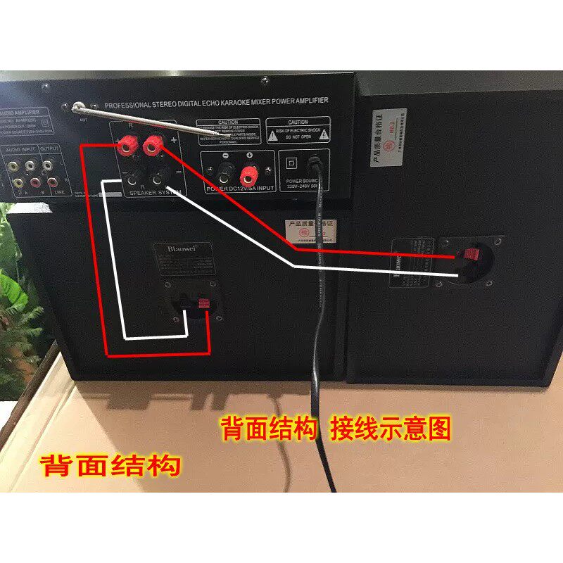 标威 DK-6家庭KTV音响套装会议功放专业卡包音箱 电视卡拉ok家用