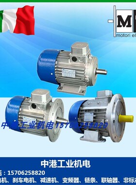 MT刹车电机TN 63B4 A4 71B4 80B4 90L4 TFP100B4 TFP112B4 132MB4