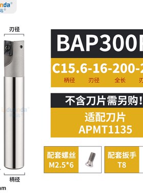 BAP300R加工中心铣刀片数控1135铣刀杆CNC立铣开粗抗震直角飞刀杆