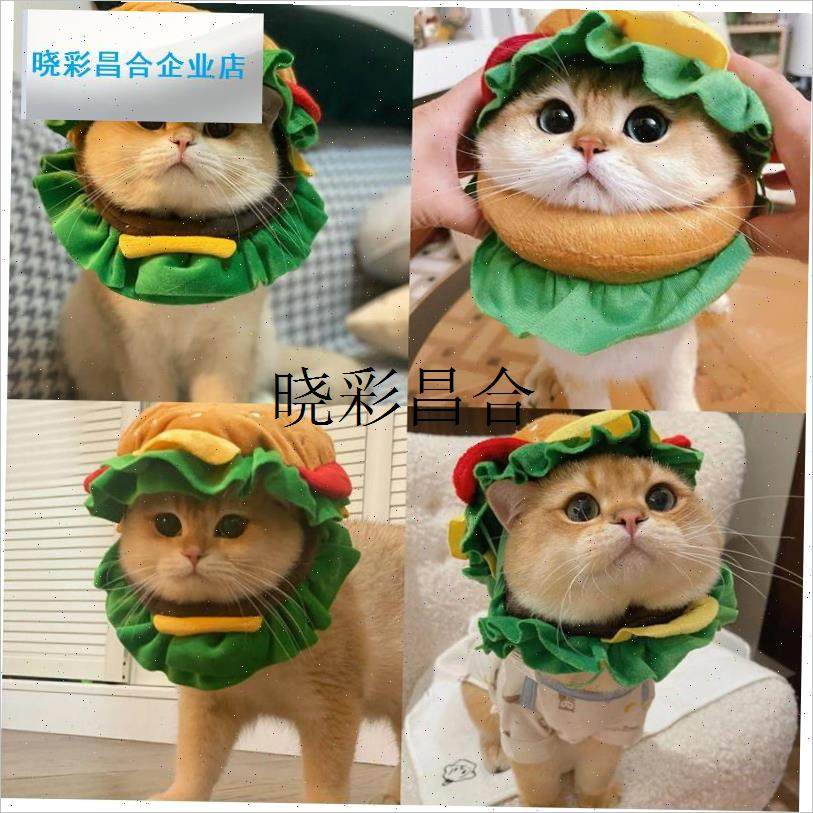 猫咪汉堡头套搞j怪可爱宠物帽子狗狗头饰小型犬网拍红照装扮服饰l,宠物/宠物食品及用品,宠物伊丽莎白圈,淘宝优惠券,粉丝福利购,淘宝优惠卷