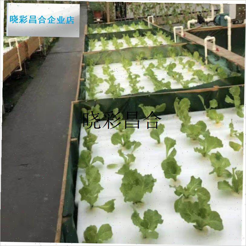 水培蔬菜定植板无土栽培种植板板水上种L菜塑料漂浮板加厚海绵育l