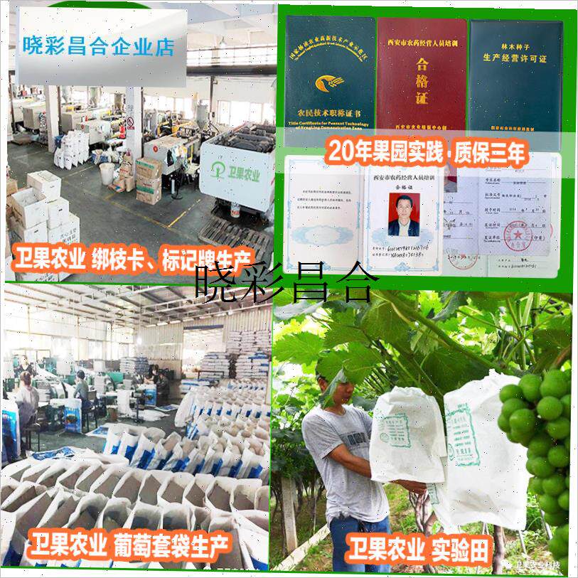 新款猕猴桃葡萄树绑枝卡扣绑蔓葡萄E树苗枝条固定卡子滴灌套袋扎l