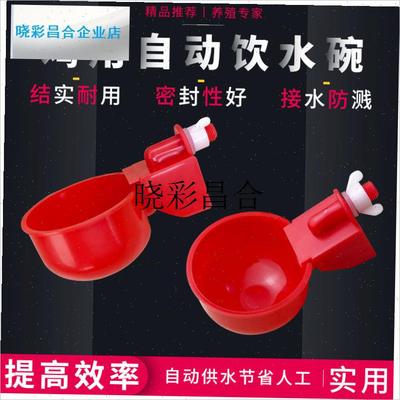 小鸡喝水饮水器喂鸡鸭鸽子用饮水碗雏鸡自动饮水V器鹌鹑家禽喂水l