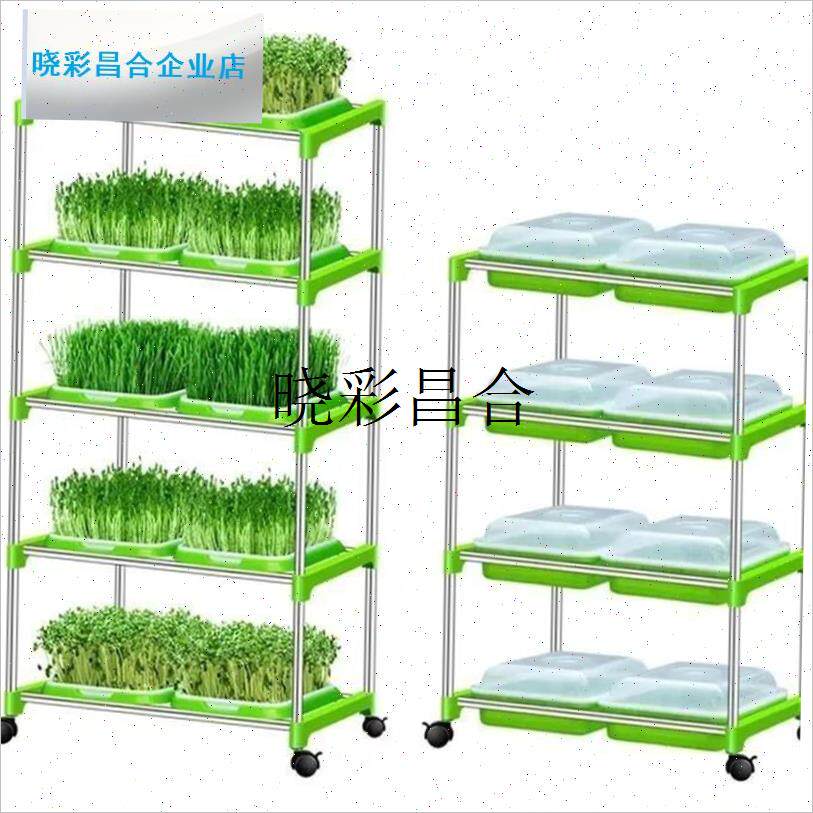 芽苗菜育苗架子育苗盘水培蔬菜加密盘生豆芽发R芽盆带盖豌豆生芽l