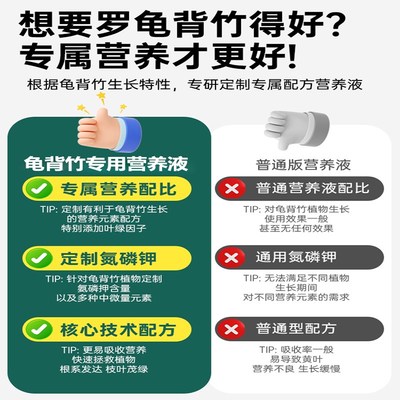 龟背竹专用肥料营养液黄叶黄斑卷叶烂根家用肥料通用型植物营养液