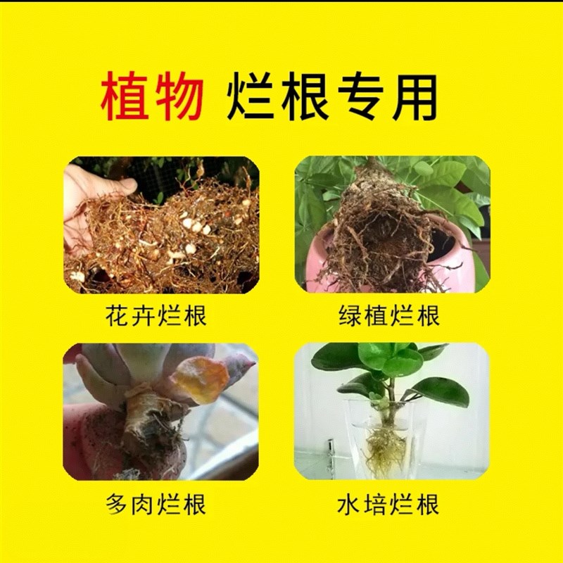 卡纳玛朵烂根卫士急救宝通用型绿植花卉盆栽防烂根黑腐园艺菌剂
