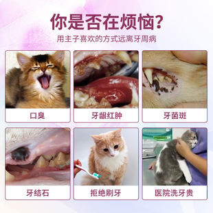 博乐丹洁牙粉40g去牙结石除口臭猫咪狗狗洁齿洁齿粉口腔清洁用品