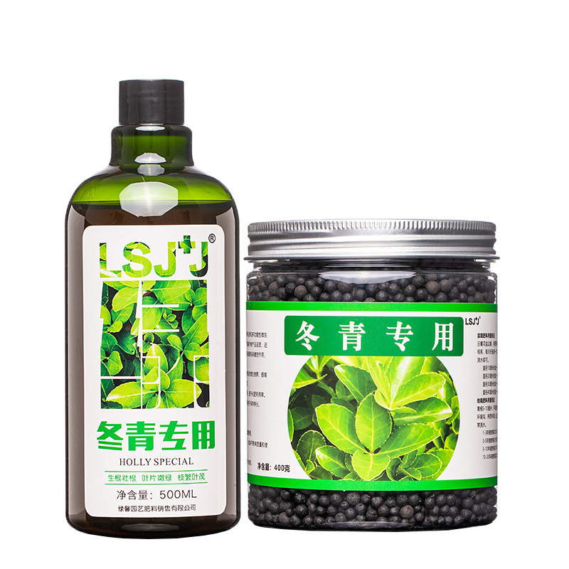 冬青树专用肥北美冬青营养液肥料冻青营养液四季喷叶铁冬青有机肥