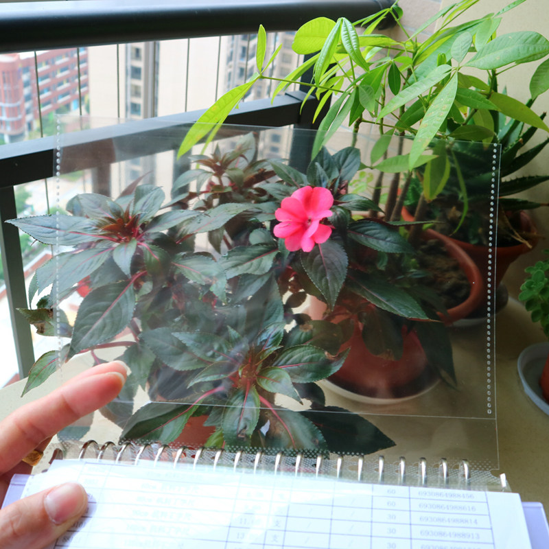 a5高清活页资料册100页透明票据收纳生字卡32K画册文件夹检验单夹