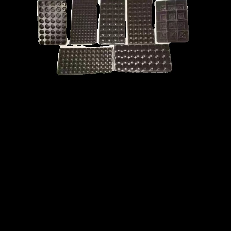 育苗盘穴盘整件药材扦插草莓番茄辣椒花卉育苗盆苗木多肉方孔塑料