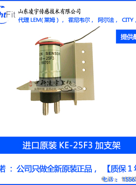 KE-25氧气O2传感器氧电池F3 F4 OXY12 SDL OXY-12 MAX250费加罗