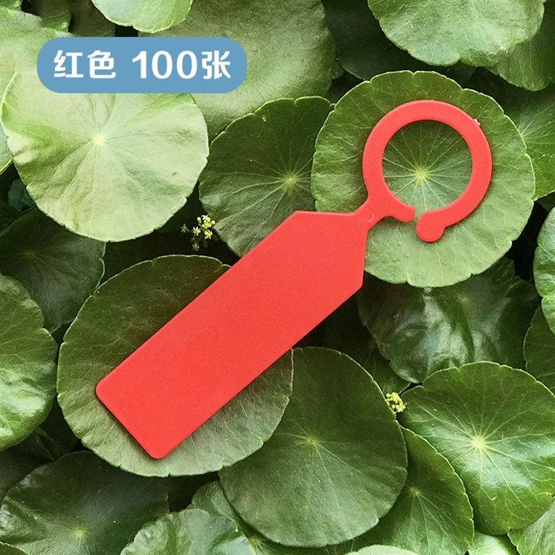 加厚园艺标识牌 塑料环扣标牌 环套标签 植物瓜果标记卡分批色卡