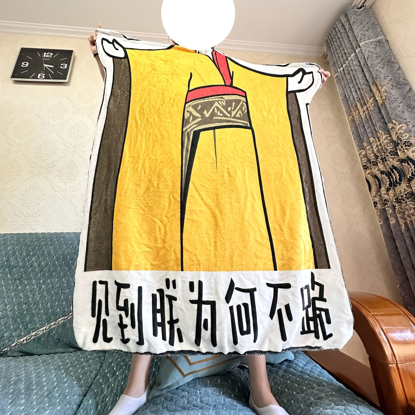 搞怪毯子宿舍床上午休午睡夏季空调毯龙图见朕为何不跪表情包毛毯