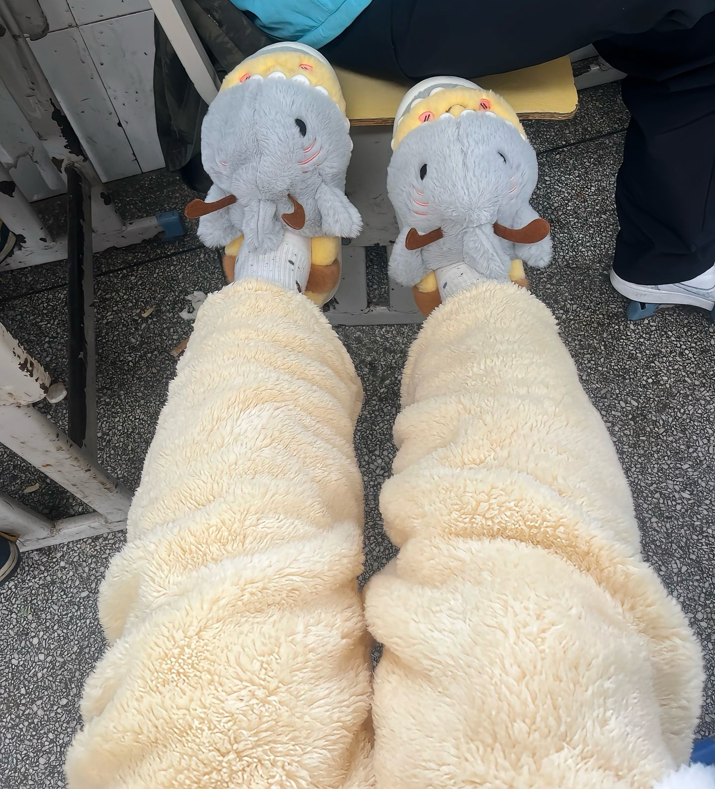 抖音网红同款鲨Bee时尚趣味可爱情侣包跟毛毛拖冬防滑棉拖鞋