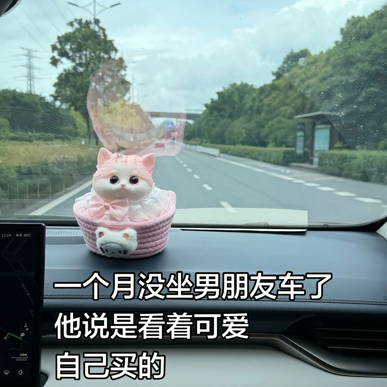 解压玩具车载摆件小朋友手绘仿生猫咪捏捏玩偶七夕生日礼物