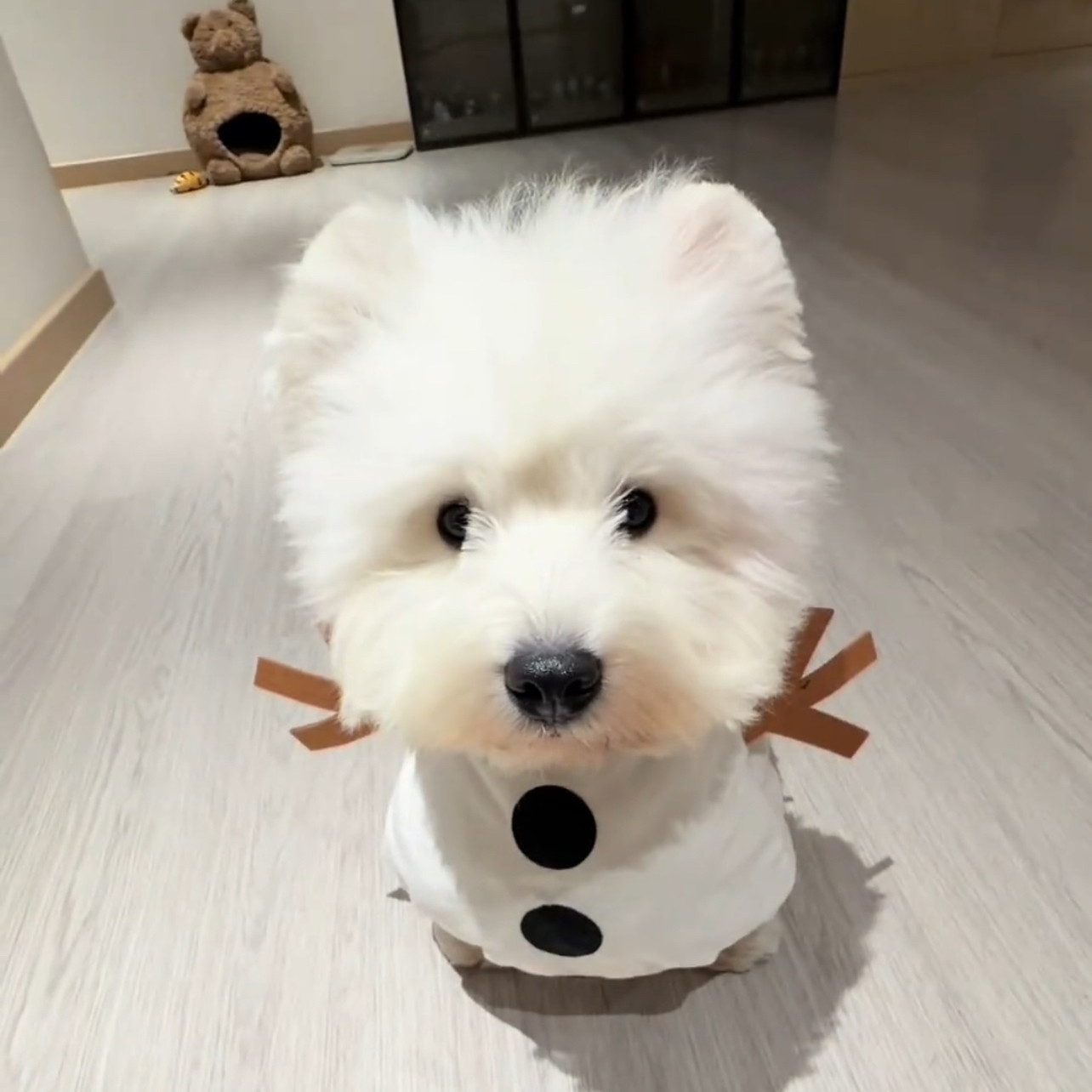 小中型犬狗狗搞怪变身衣可爱小雪人宠物衣服万圣节搞怪笑拿刀娃娃