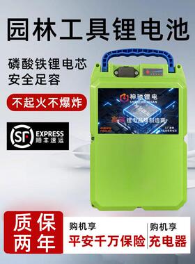 24V割草机电动锂电池48V36V21大容量磷酸铁锂水泵背负式园林专用