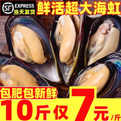 贻贝鲜活青口贝超大海虹新鲜贻贝淡菜贝类海鲜水产10斤顺丰