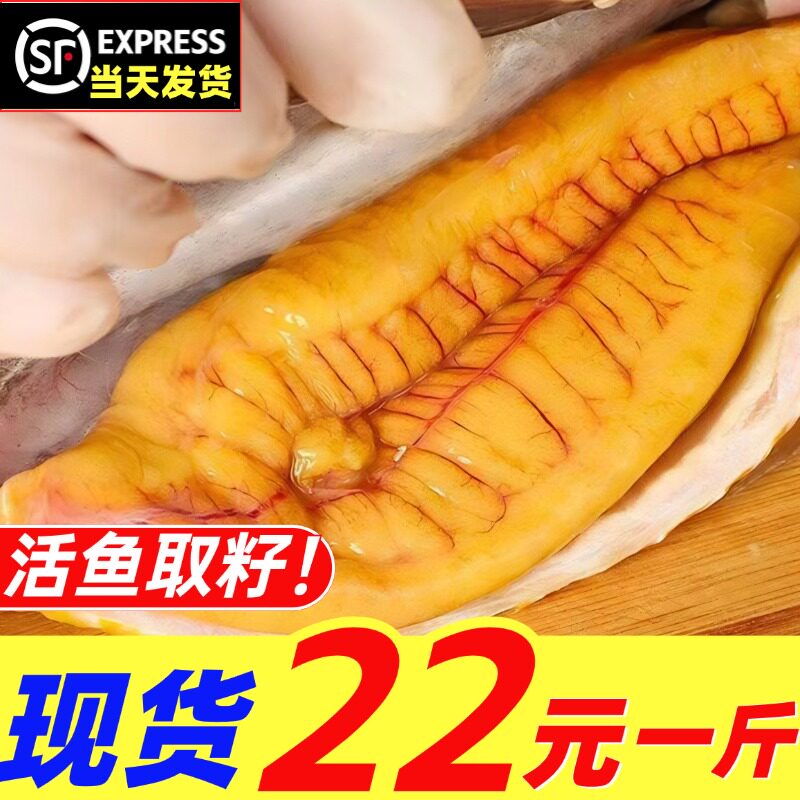 鱼卵新鲜鱼子黑鱼籽鱼肚鱼白鱼膘鱼杂鱼蛋鱼卵鲜活冷冻海鲜大鱼子