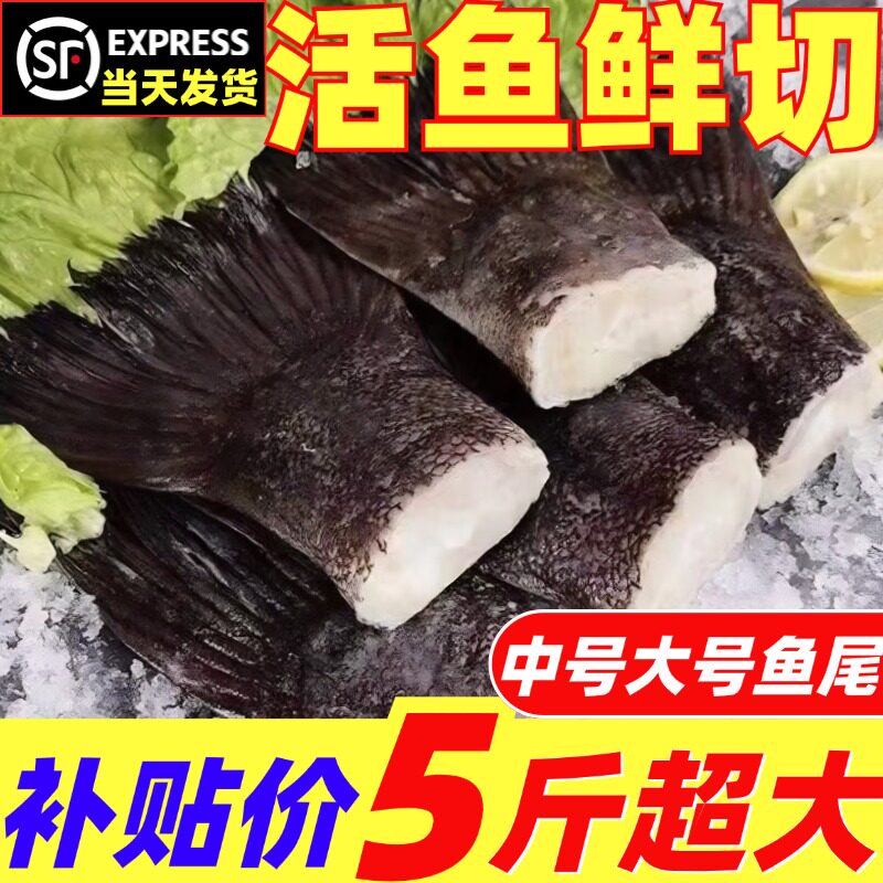 鲽鱼尾鸦片鱼尾新鲜特大鱼尾巴烧烤商用雅片鱼深海鱼尾巴海鲜水产