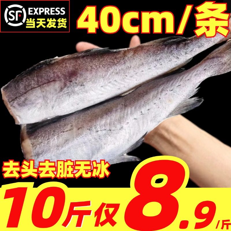 明太鱼新鲜冷冻超大无头鳕鱼狭鳕鱼宝宝鱼肉海鱼朝鲜鱼海鲜辅食
