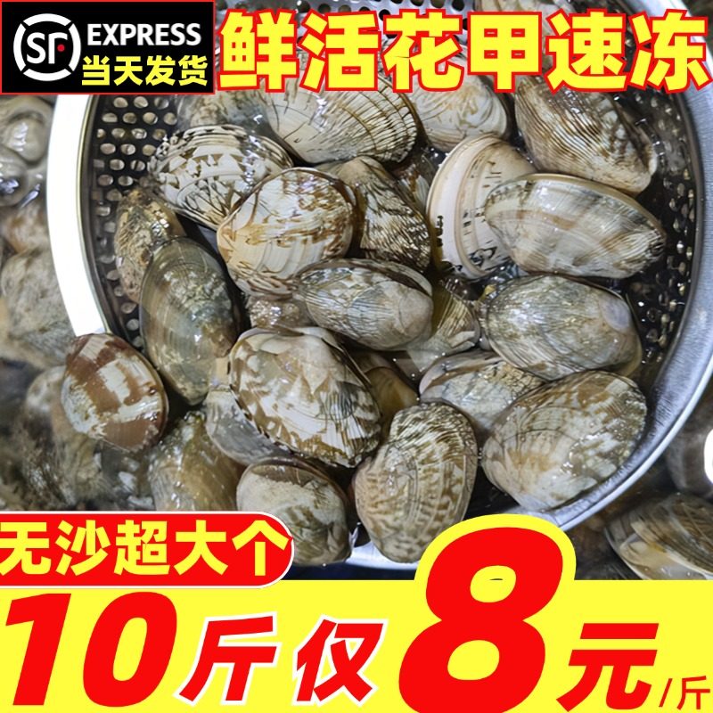 新鲜特大号花甲无沙鲜活速冻花蛤蜊杂色蛤蜊带壳花甲商用海鲜水产