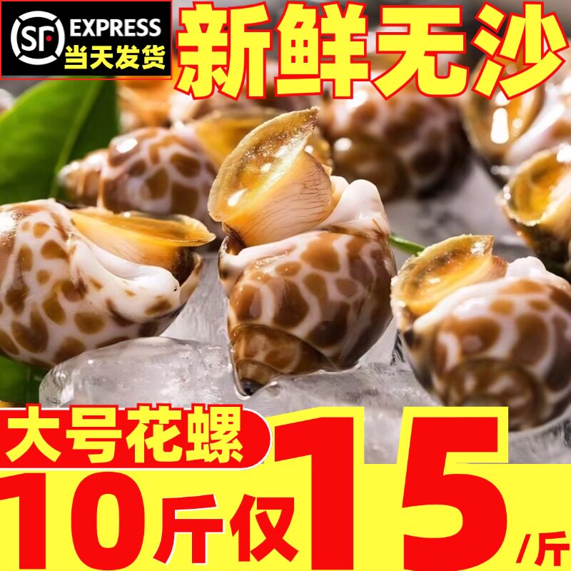 花螺鲜活新鲜冷冻海螺特大号东风螺泥螺海鲜水产贝类商用海鲜水产