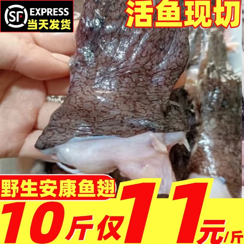 新鲜安康鱼翅膀鱼鳍深海鱼冷冻巴沙鱼鳍灯笼鱼尾巴鱼肚海鲜