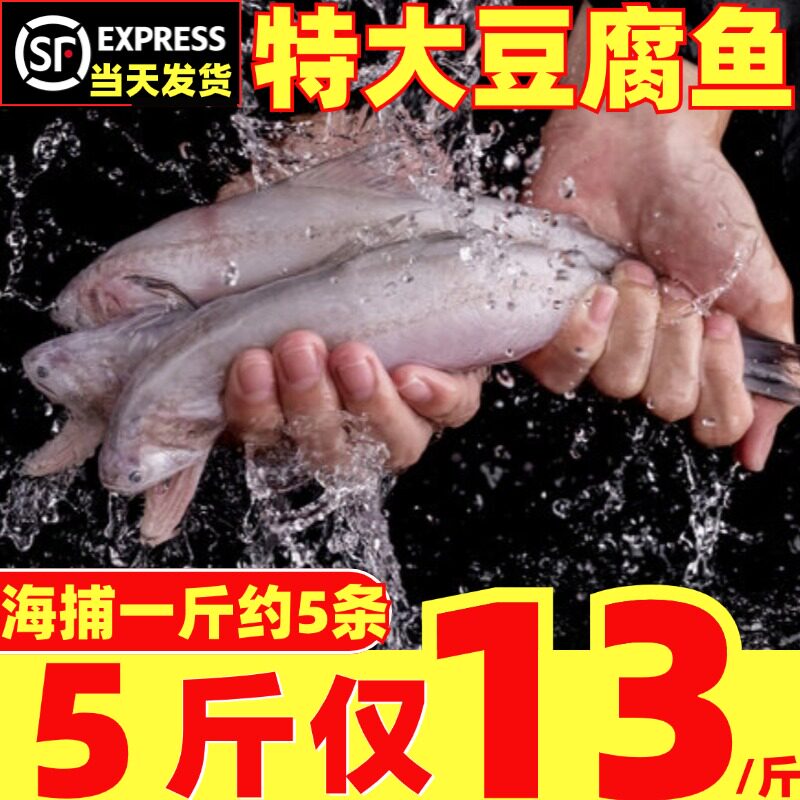 新鲜豆腐鱼特大龙头鱼鲜活冷冻九肚鱼水潺丝丁鱼生鲜副食品深海鱼