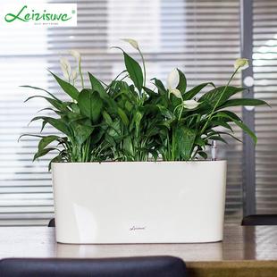 懒人花盆自动吸水大号创意长方形塑料花盆特大仿陶瓷绿萝花盆树脂