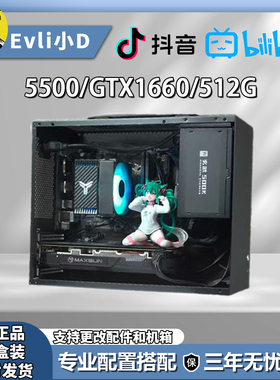 5500 GXT1660 视频同款主机