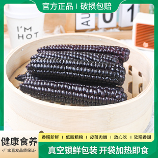 远方的梦想紫玉米新鲜真空包装低脂粗粮代餐早餐真空锁鲜加热即食