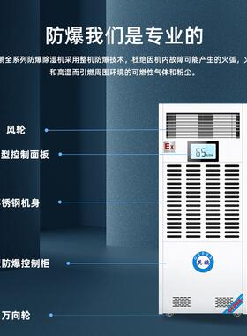 (GYPEX) 防爆除湿机 除湿量20KG/H BCF-20TW工业可调温抽湿机