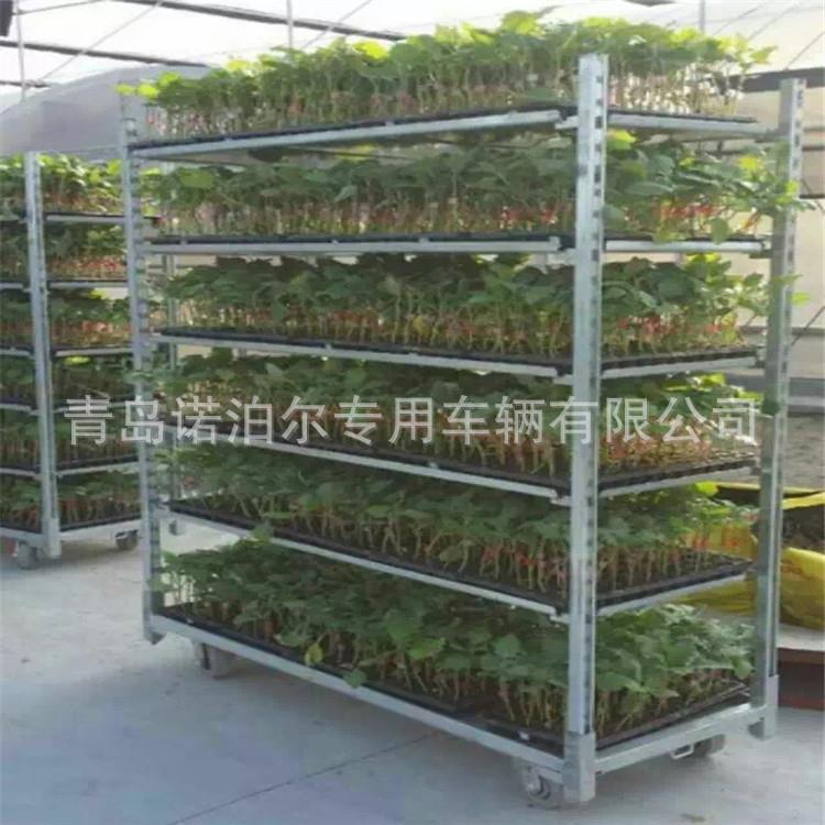 厂家2019园林五金工具园艺车 大棚育苗专用车 花卉台车花架车