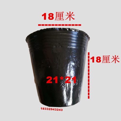 加厚营养钵一次性育苗杯育苗袋防老化育苗袋防老化大号黑色育苗盆