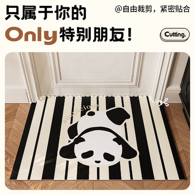 入户门地垫2024新款高级感pvc可擦免洗玄关地毯门外进门门口脚垫