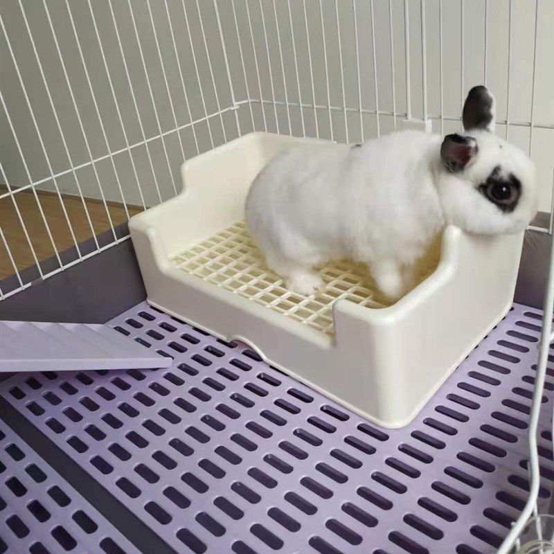 三禾雨兔兔豚鼠小宠厕所大尺寸好清洁防掀防漏尿托盘安哥拉巨兔厕,宠物/宠物食品及用品,兔兔厕所,淘宝优惠券,粉丝福利购,淘宝优惠卷