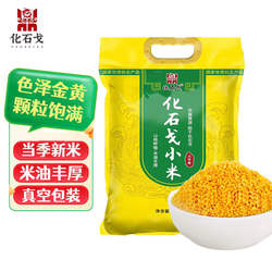 阜新化石戈小米当季新米食用米小米黄小米粥小黄米粮食小米杂粮