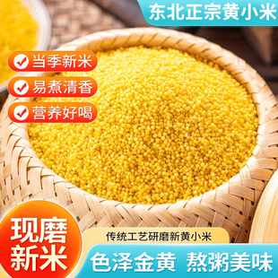 4斤东北农家新黄小米小米五谷杂粮小黄米当季新粮小米孕妈可吃
