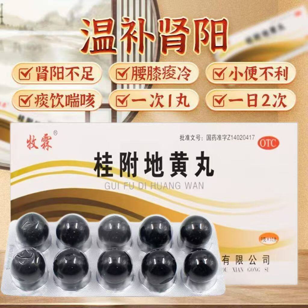 【牧霖】桂附地黄丸9g*10丸/盒腰膝酸软肾阳虚温补肾阳肾阳不足早泄