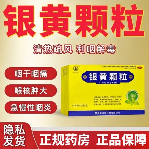 文峰塔银黄颗粒10袋清热疏风利咽解毒咽干咽痛喉核肿大口渴发热
