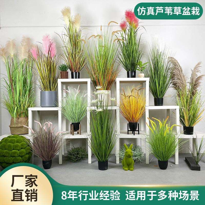 仿真绿植盆栽造景洋葱草家居装饰仿真植物盆景摆件绿植仿真绿植