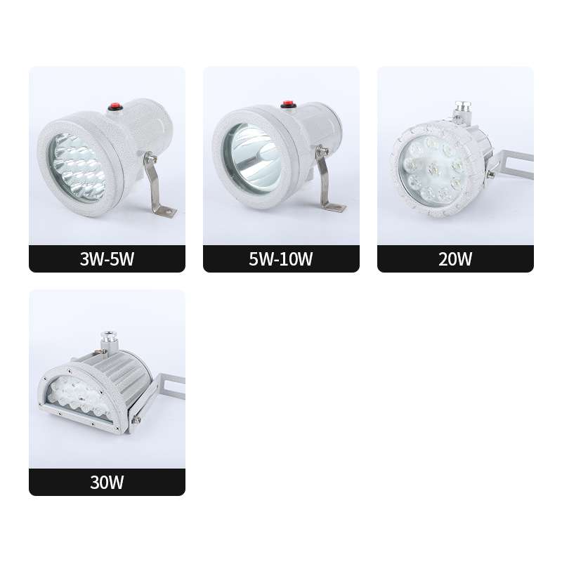 BSD96系列LED防爆视孔灯反应釜防爆视镜灯12V24V36V220V探照灯