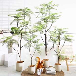 仿真绿植蓝花楹室内盆栽大型仿生植物假树轻奢客厅装饰品落地摆件