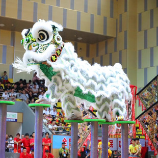 舞狮道具南师醒狮成人双人狮子舞演出道具南狮服装舞狮子套装