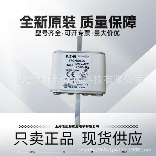 170M5062 170M5163 170M5015 170M5218 170M5213 巴斯曼熔断器