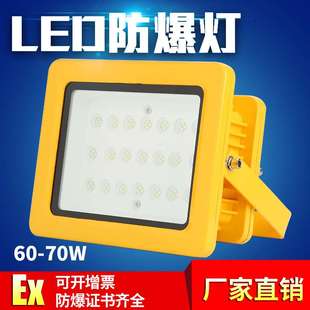 LED防爆灯20W30W40W50W60W70W化工厂仓库厂房应急照明 防爆投光灯