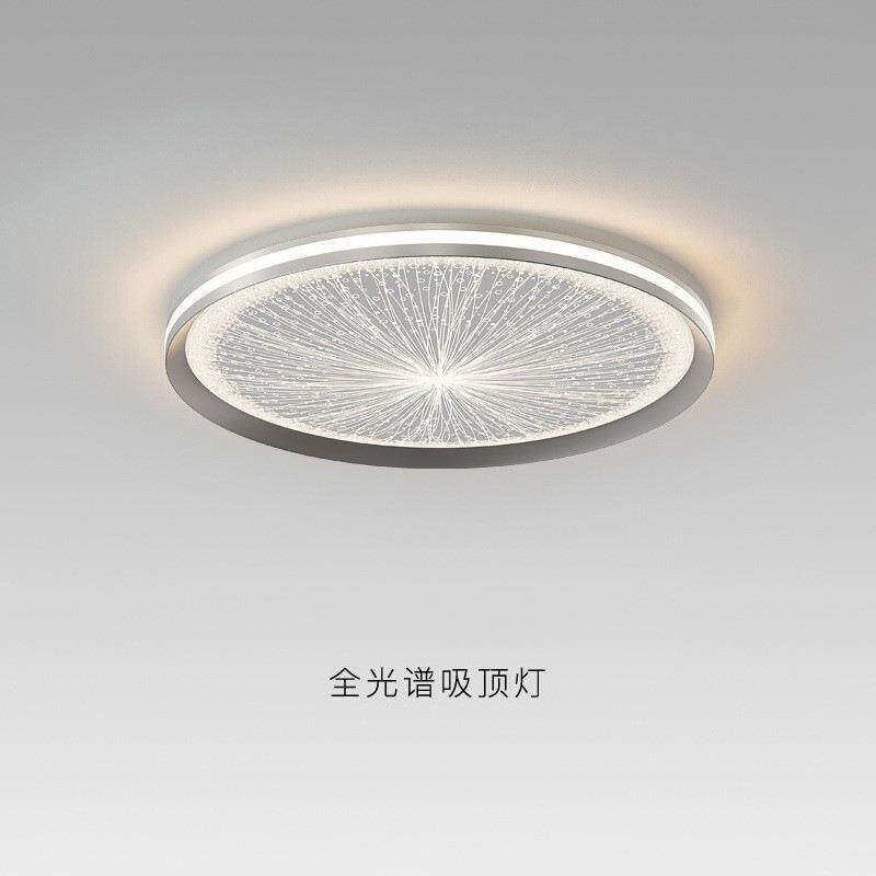 设计师新款创意烟花卧室吸顶灯全光谱护眼智能浪漫主卧灯艺术个性