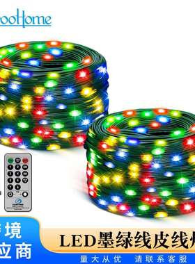 墨绿色LED皮线灯串8功能带遥控低压29V圣诞装饰彩灯LED绕树灯