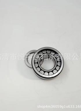 SL185024 SL185026 SL185028 SL185030 装满圆柱滚子轴承